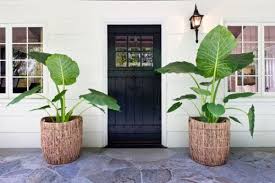 House facade with white walls, door, flower pots and plants at caceres. 40 Front Door Flower Pots For A Good First Impression