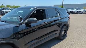 Image result for Arizona Beige 2025 Interceptor