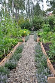 Check spelling or type a new query. Kitchen Garden Update 2 Plants Veg Garden Garden Planning