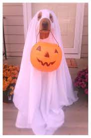 Easy Ghost Dog Costume White Sheet And A Plastic Trick Or Treat Pail Voila Ghost Dog Diy Dog Stuff Dog Tricks Easy
