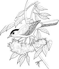 Dibujos Para Colorear Adultos Pdf