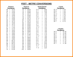 12 inches to centimeter conversion chart resume letter