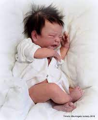Le Baby Lucia Reborn Kit By Adrie Stoete Realistic Baby Dolls Boy Baby Doll Reborn Baby Dolls