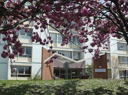 Oto Rhino Laryngologie Orl Centre Hospitalier Bretagne Atlantique