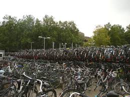 Izolat, se vor forma ceață şi polei slab. Atentie Biciclisti Bring The Sun On Your Sky