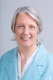 The Handbook for 21st Century Mums and Dads by Felicity Evans