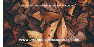 C'est juste qu'il faut ramasser les feuilles! Les Feuilles Mortes Se Ramassent A La Pelle