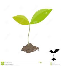 How long does it take seeds to sprout outdoors. Sprouting Seed Clipart Little Plant Sprout Stock Clipart Kid Plant Sprout Little Plants Sprouting Seeds