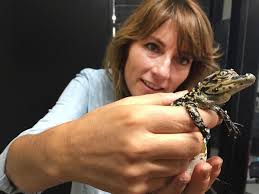 Endangered gorilla gives birth to healthy baby at Philadelphia Zoo after  doctors save the day