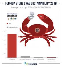 Florida Stone Crab Fishchoice