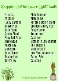 Naturally, my eyes immediately gravitated to plants that required very little natural light, and to my delight, many of them were tropical in appearance, stemming from the rainforest. Low Light Indoor Plants House Plants That Thrive In Lower Light
