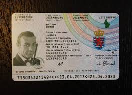 Votre abonnement a bien été pris en compte. Luxembourg Fake National Id Card Carte D Identite Buy Scannable Fake Id With Bitcoin