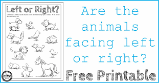 Next give your elephant a big trunk on. Directionality Worksheet Which Way Is The Animal Facing Your Therapy Source