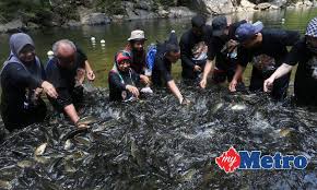 Exco pelancongan dan kebudayaan negeri terengganu, dato' mohd jidin shafee pada sidang dun terengganu 8 september lalu, mengesahkan ba. Transformasi Tasik Kenyir Metrotv