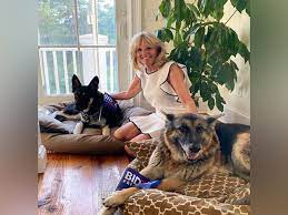 President joe biden's dogs will return to the white house from the family's home in delaware after one bit someone, an official announced on tuesday. Biden S Dogs Sent Back To Delaware After Biting Incident At White House
