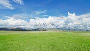 Sapi lembu lucu bermain sama induknya di padang rumput #sapikampung #lembulucu #padangrumput. Padang Rumput Mongolia Gambar Unduh Gratis Imej 501373888 Format Jpg My Lovepik Com