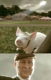 5 months, 3 pigs, 2 crazy busy days… was it worth it to feed our family? That Ll Do Pig That Ll Do Pig Movies Kid Movies Science Fiction Movies