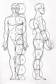 Estudo de Anatomia Feminina - Curvas e Força