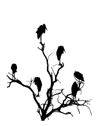 Bird On Tree Branch Png Tree Silhouette With Birds Png Free Bird Silhouette Silhouette Art Tree Silhouette