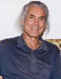 U Tin Oo — The Insight Myanmar Blog — Insight Myanmar