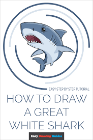 Today, i will show you how to draw a great white shark. Easy Drawing Guides On Twitter Learn How To Draw A Great White Shark Easy Step By Step Drawing Tutorial For Kids And Beginners Greatwhiteshark Drawingtutorial Easydrawing See The Full Tutorial At Https T Co Lcscti0dqn Https T Co Xalhpt77hh