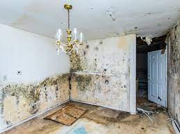 Servpro of west hartford p: Mold Removal West Hartford Rainbow International Restoration
