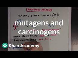 Mutagens And Carcinogens Video Mutations Khan Academy