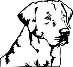 Stencil Muro Labrador Retriever Tenstickers Dipinti Di Cane Labrador Retriever Animali