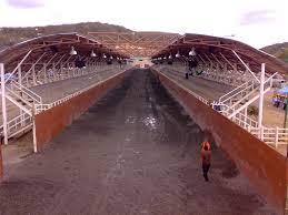 Agricultural Resort Juan Canelon Barquisimeto Lara State La Manga De Coleo Juan Canelon Has Some Of The Most Modern Facilities Resort Places Observation