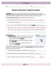 For gallbladder is located underneath the liver. Gizmo Digestive System Pdf Name Date Student Exploration Digestive System Vocabulary Absorption Amino Acid Carbohydrate Chemical Digestion Chyme Course Hero