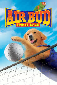 'the son' will once again be directed by. Air Bud Golden Receiver 1998 Imdb