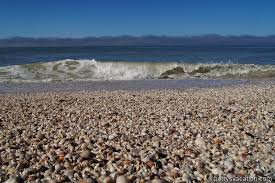 Abundant wildlife and diverse ecosystems can be enjoyed within the 1,600 acres of beaches, tidal marshes and nature trails that make up beautiful anastasia state park. Gasparilla Island State Park Florida Betty S Vacation