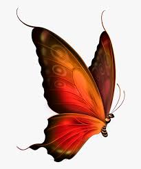 Butterflies are insects in the macrolepidopteran clade rhopalocera from on this page you can download free butterfly png images on theme: Red Butterfly Png Transparent Background Butterfly Gif Png Download Transparent Png Image Pngitem