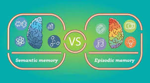 Episodic Memory And Semantic Memory Facts Difference Types