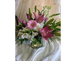 Dollar tree store at kline plaza in harrisburg, pa. Xpfqewsjijtoem