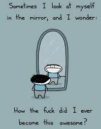 Sometimes I Look At Myself In The Mirror And Wonder Funny Quotes Quotes Words