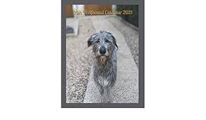 Aussehen bilder charakter geschichte züchter vereine verfügbare welpen jetzt informieren! Irish Wolfhound Calendar 2021 Corn 9798699526741 Amazon Com Books