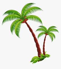 Download coconut tree animated and use any clip art,coloring,png graphics in your website, document or presentation. Coconut Tree Png Picture Coconut Tree Transparent Png Png Download Kindpng