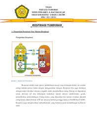 We did not find results for: Pdf Fisiologi Tumbuhan Khairul Aridho Academia Edu