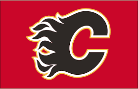 Calgary Flames Offseason Prospect System Review Hockey