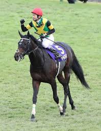 2019 菊花賞 ワールドプレミア 競走馬 名馬 馬
