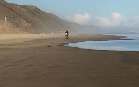 Find cheap deals and discount rates that best fit your budget. More Action To Stop Dune Hoons On Beaches Rnz