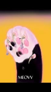 Teddy Park and The Black Label finally unveils new girl group "MEOVV" ... |  TikTok