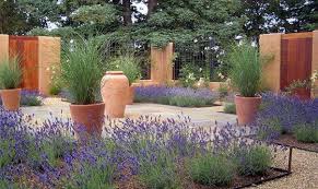 Beautiful Landscape Ideas From Monrovia Plants Drought Tolerant Landscape Drought Tolerant Garden Xeriscape