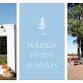 Pumpkin Patch Sundays at Loblolly Acres event image