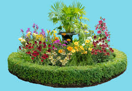 We did not find results for: Designing Flower Islands For The Landscape
