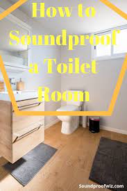 The bathroom door has a lot of cracks, gaps, crevices, and depending on the material it is probably a hollow door. How To Soundproof A Toilet Room Sound Proofing Soundproof Room Toilet Room