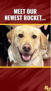 Berne Union Elementary PTO