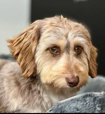 Thank you to everyone who helped with the reunion