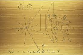 Image result for pioneer plaque